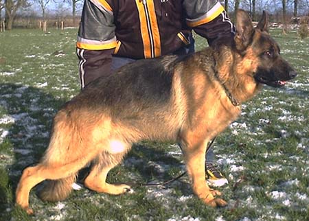 zur&uuml;ck