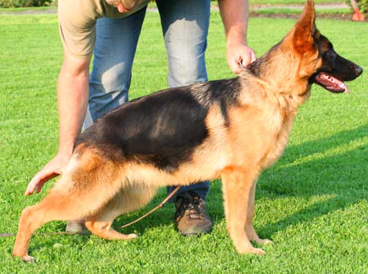 Lena mit 7 Monaten (Lena aged 7 months)